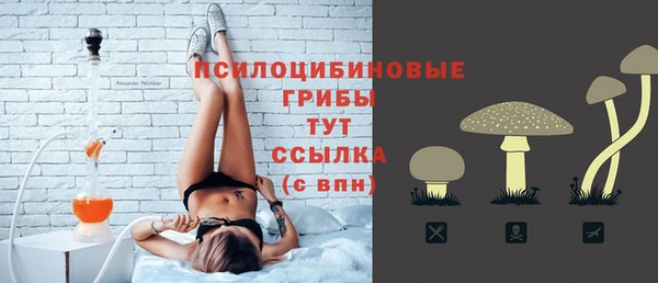 крисы Балахна