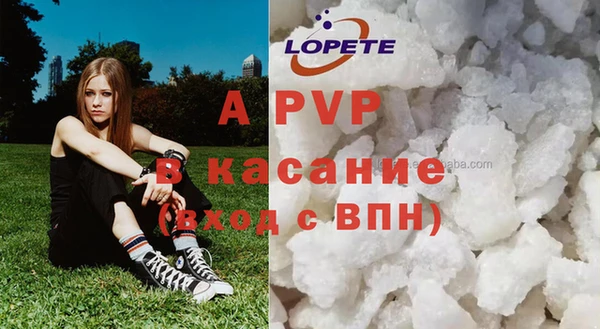 шишки Баксан